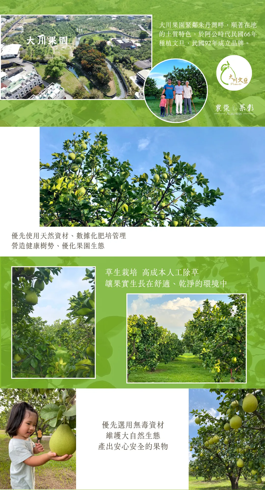 大川果園&農滎果彩中秋文旦禮盒