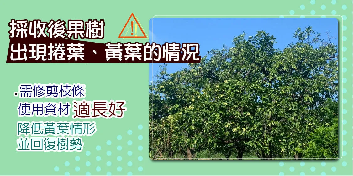 2021年底文旦園區管理建議