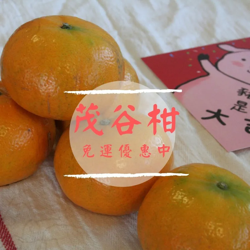雲林古坑青農用心栽培茂谷,農藥零檢出,酸甜多汁,每年必回購,年節送禮最推薦,現正免運優惠中!