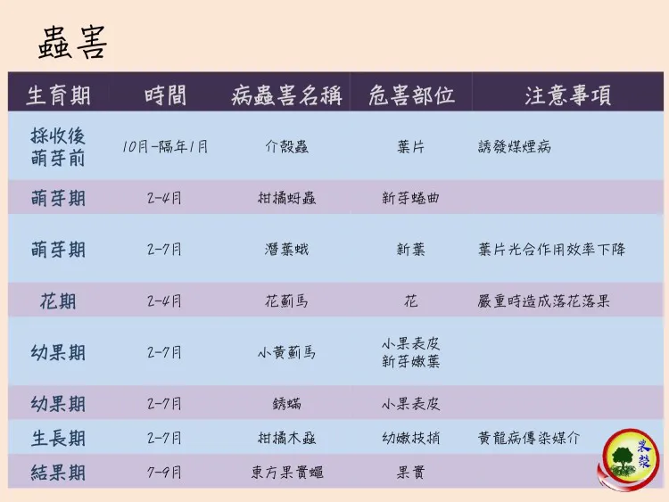 文旦柚常見病蟲害及防治方式簡介