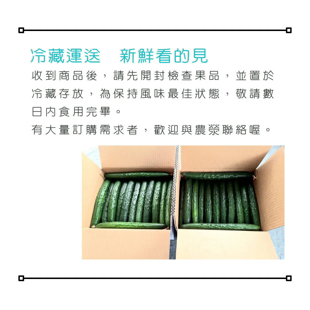 產銷履歷小黃瓜