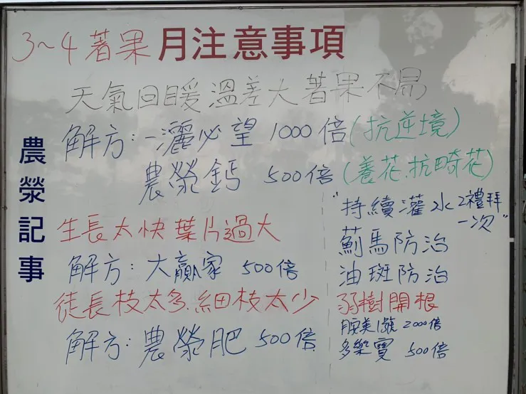 2020年3至5月文旦耕作日誌