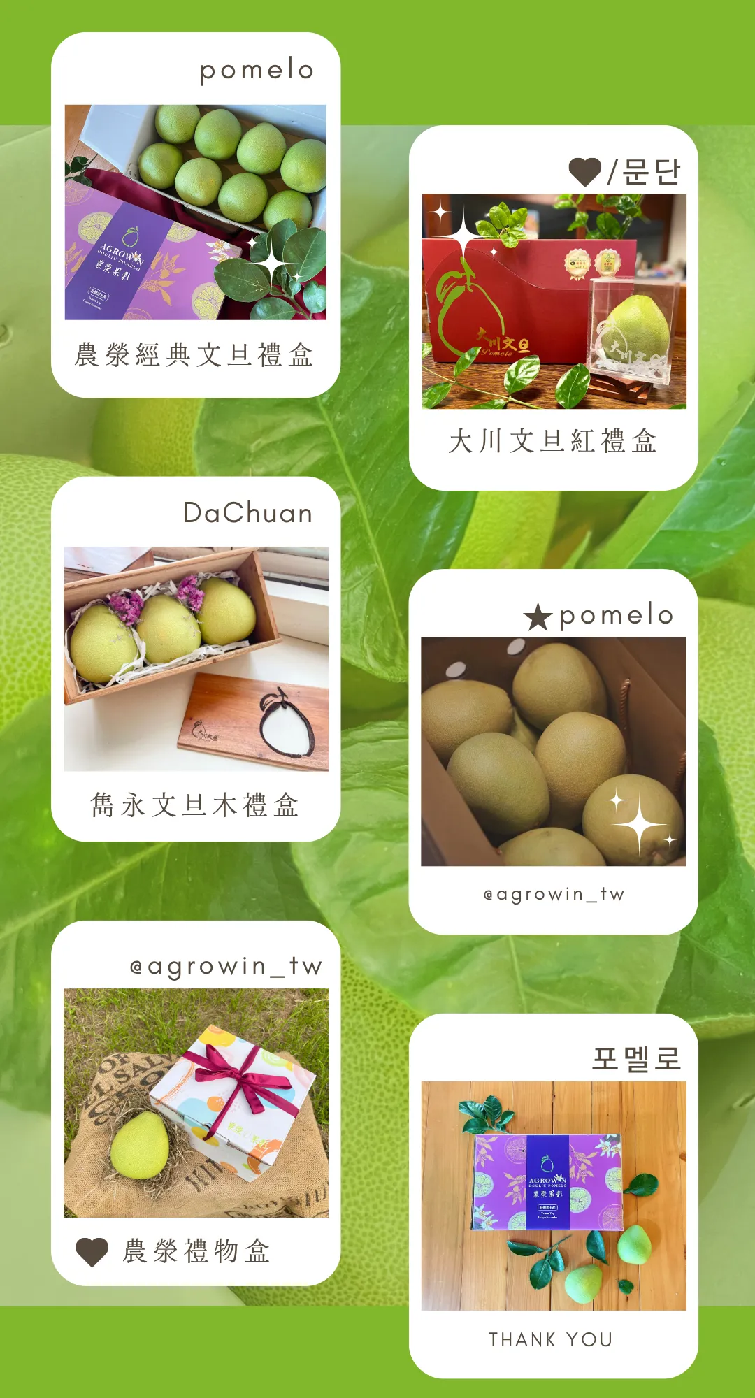 大川果園&農滎果彩中秋文旦禮盒