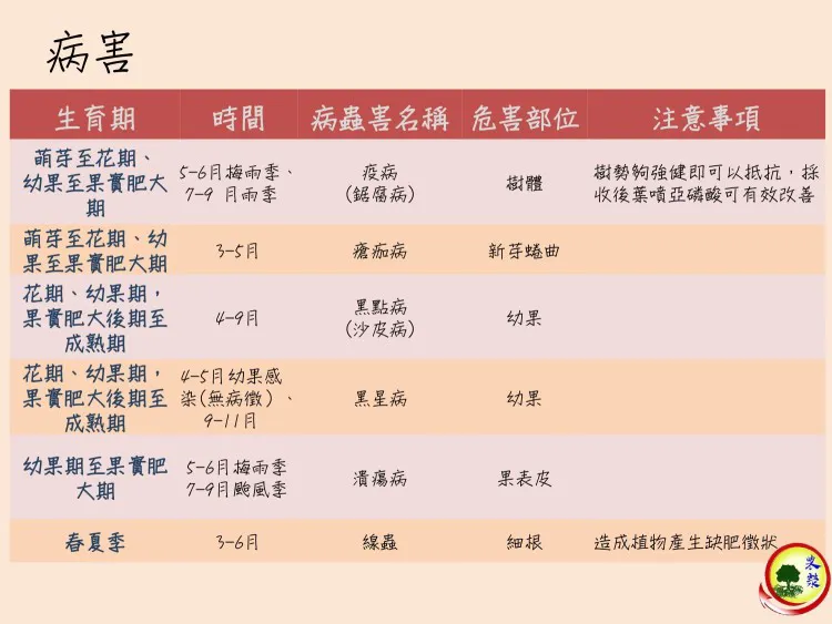 文旦柚常見病蟲害及防治方式簡介