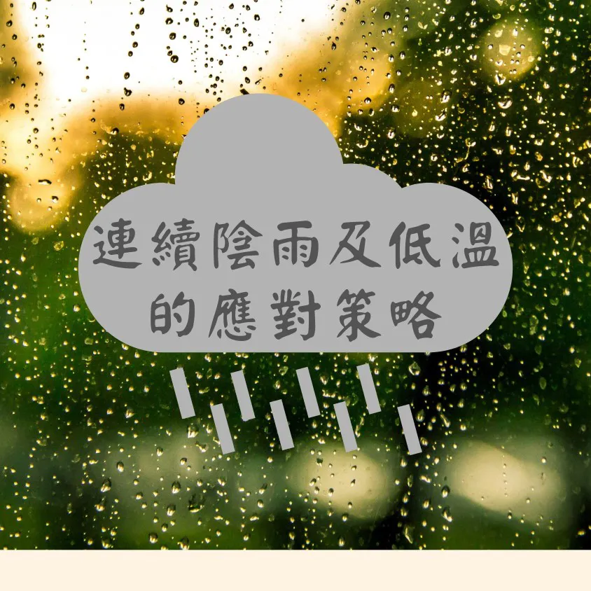 農滎鈣內含糖醇鈣及還原糖,能提供花粉營養,降低落花問題,提供醣類給植物使用